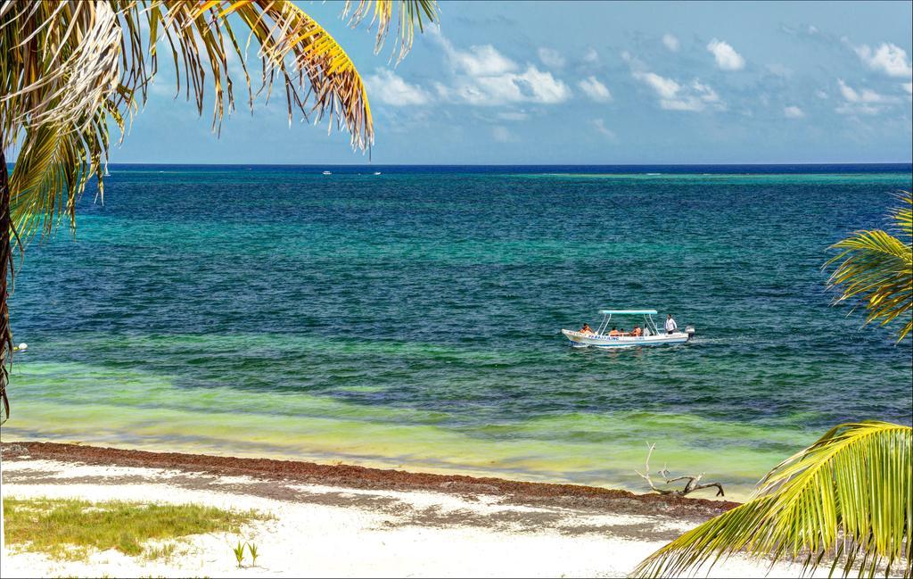 Beach Front House At Puerto Morelos Villa Exterior photo